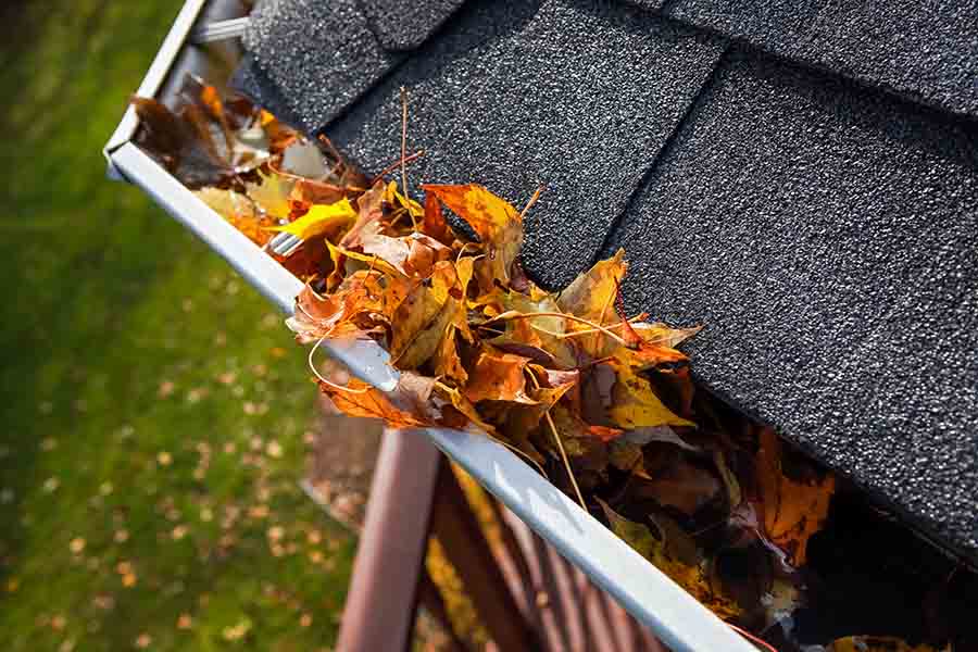 choked gutter leading to water leakages